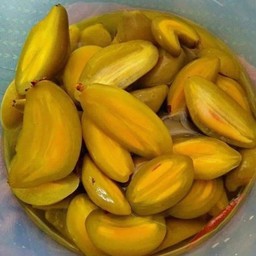 มะดันดอง