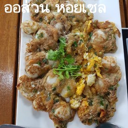 ออส่วน หอยเชล์ล