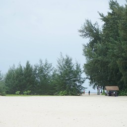 เกาะไผ่