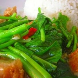 ผัดผักคะน้า ราดข้าว