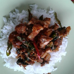 ข้าวกะเพราหมูกรอบ