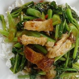 ข้าวคะน้าหมูกรอบ