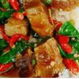 กะเพราหมูกรอบราดข้าว