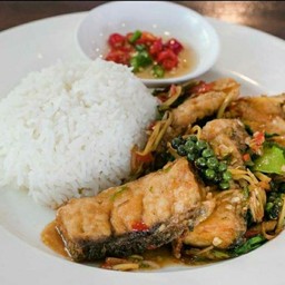 ผัดขึ้นฉ่าย เนื้อปลากะพงราดข้าว