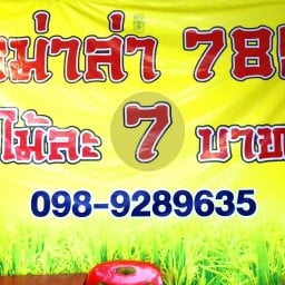 หม่าล่า สันผีเสื้อ789