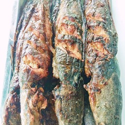 Grilled Catfish