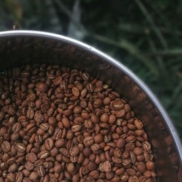 Nowhere coffee brewers