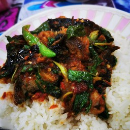 ตามสั่งโกตา