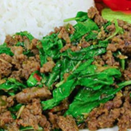 กระเพราเนื้อ