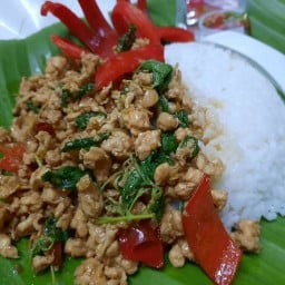 กระเพรา29฿ ประชาอุทิศ59