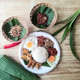 ซัลมา ฮาลาล