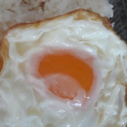 ไข่ดาว
