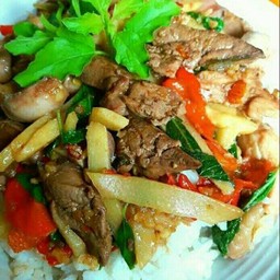 ผัดเผ็ดเครื่องในไก่หน่อไม้เหลืองราดข้าว