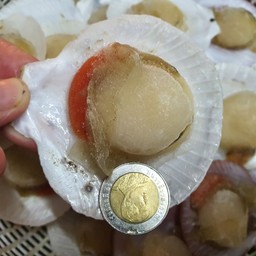 หอยเชลล์ไทยย่างเนย(ชุดใหญ่)