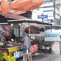 ปลาเผาบ้านทุ่ง พิษณุโลก