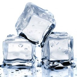 MENU_666837yt_1605437719