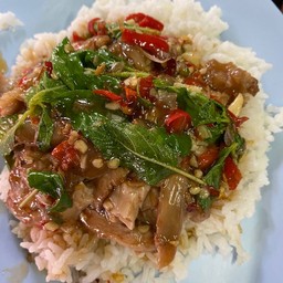 กะเพราขาหมู
