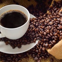 กาแฟสด บ้านเหนือ