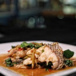 เนื้อปลาเก๋าผัดฉ่า