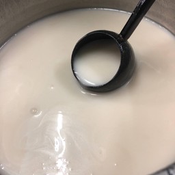 Salted Coconut Milk
