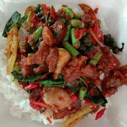 ผัดเผ็ดหมูป่า