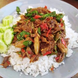 ผัดกะเพราเป็ด