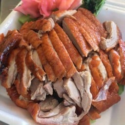 ร้าน เป็ดย่าง บัณฑิต สูตรฮ่องกง