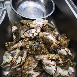 นายฮ้อย ย่างมันส์ ขอนแก่น