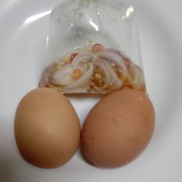 ไข่ต้ม