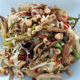 ตำป่าแสงจันทร์