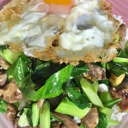 ผัดคะน้าน้ำมันหอยเครื่องในไก่+ไข่ดาวราดข้าว