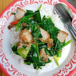 4 ป