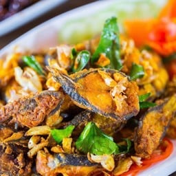 ปลาดุกนาทอดขมิ้น