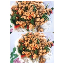 ข้าวกระเพราหมูสับ