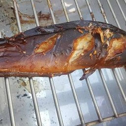 ปลาดุกย่าง