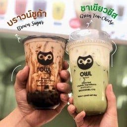 OWL CHA ลาซาล ลาซาล