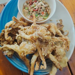 เห็ดนางฟ้าทอด น้ำจิ้มแซ่บ