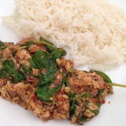 ผัดกะเพราปลากะป๋องราดข้าว