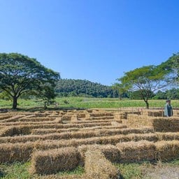 A maze in Thailand