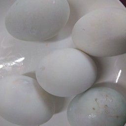 เพิ่มไข่เค็มฟองละ