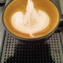 เอริก้า