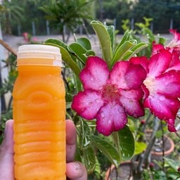 ร้าน น้ำส้มคั้นสด🍊 แท้ 100% By ตา’เบลล์