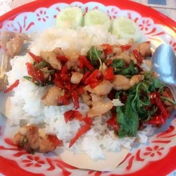 ข้าว+กระเพราคอหมูย่าง