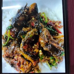 ผัดกะเพราปลาดุกราดข้าว