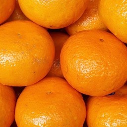 ร้านโก๊ะอึ่งผลไม้สดตลาดบางแค(ซอยสิริเศรษฐินนท์)