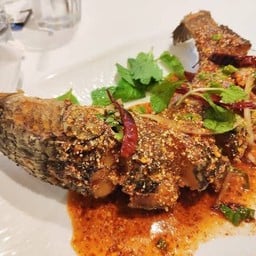 ปลาช่อนน้ำตก