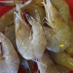 กุ้งขาวขีดละ