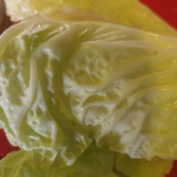 ผัดกาดขาว