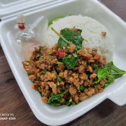 กะเพรา ขนาดปกติ