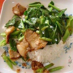 ข้าวราด คะน้าหมูกรอบ